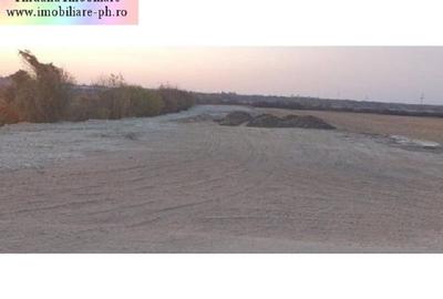 Teren Construcții intravilan de 618 mp, în Bucov - 3
