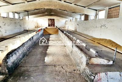 Spațiu industrial, de 1,000 mp, în Nazna - 4