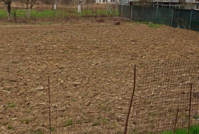 Teren intravilan de 500 mp, în Măgurele - 1