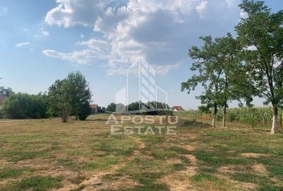 Teren Construcții intravilan de 3840 mp, în Turnu - 3