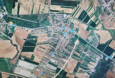 Teren Construcții intravilan de 6740 mp, în Dragomirești-Deal - 2