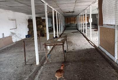 Spațiu comercial, de 480 mp, în Siliștea - 4