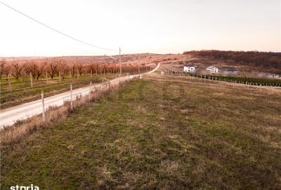 Teren de 805 mp, în Podgoria