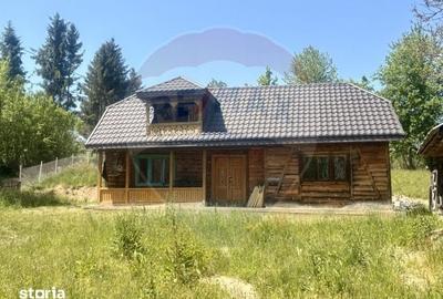 Casă cu 2 camere cu Teren 9035 Mp în Ocna Șugatag - 2