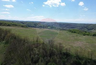 Teren de 659000 mp, în Copșa Mică - 9
