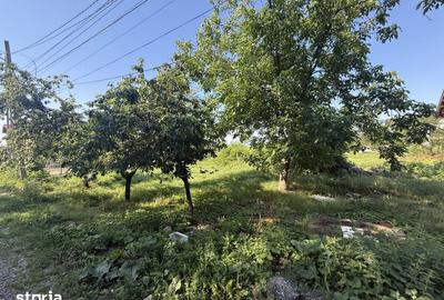 Casă cu 3 camere cu Teren 500 Mp în Ariceștii Rahtivani - 19