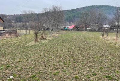 Teren în Câmpuri