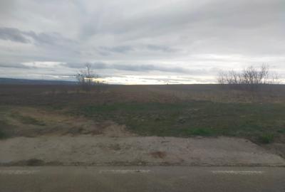 Teren de 5000 mp, în Central - 1
