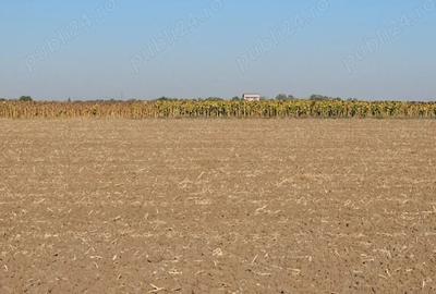 Teren de 1792 mp, în 1 Decembrie - 3