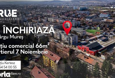 Spațiu comercial, de 66 mp, în 7 Noiembrie - 17