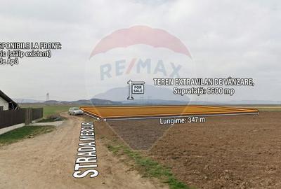 Teren agricol extravilan de 6300 mp, în Nord