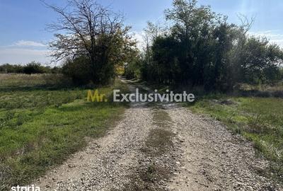 Teren de 3700 mp, în Rătești