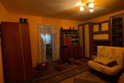 Casă cu 3 camere cu Teren 2672 Mp în Ineu - 18