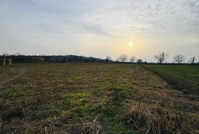 Teren intravilan de 7620 mp, în Diosig - 2