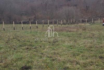 Teren agricol extravilan de 20 mp, în Daneș - 15
