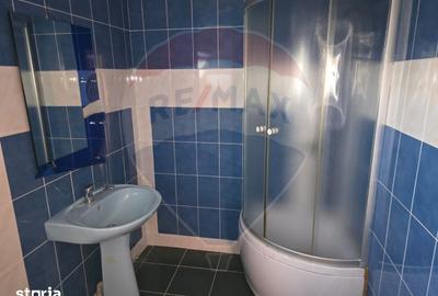 Casă cu 5 camere cu Teren 945 Mp în Ișalnița - 9