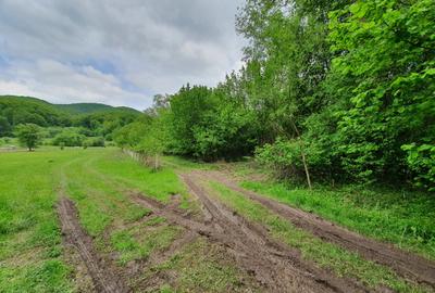 Teren Construcții extravilan de 2000 mp, în Cheile Râșnoavei - 4