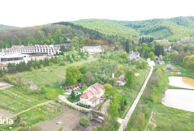 Spațiu comercial, de 710 mp, în Bazna - 4