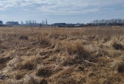 Teren de 526 mp, în Șag - 4