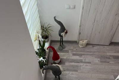 Casă cu 3 camere cu Teren 25 Mp în Titan
