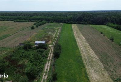 Teren de 8300 mp, în Gruiu - 11
