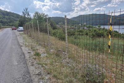 Teren de 1400 mp, în Teliucu Inferior