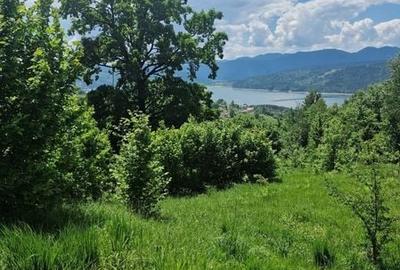 Teren de 3800 mp, în Tazlău - 3