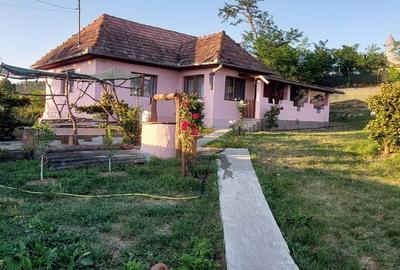 Casă cu 2 camere cu Teren 1400 Mp în Central - 6
