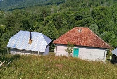 Casă cu 3 camere în Vadu Oii - 6