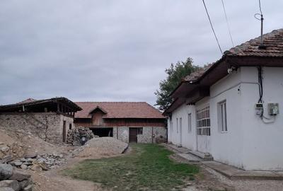 Spațiu comercial, în Novaci