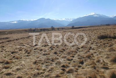 Teren agricol extravilan de 1000 mp, în Gura Văii - 1