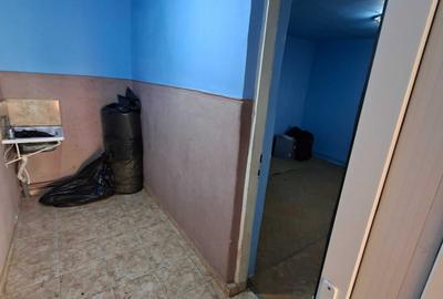 Casă cu 3 camere în Viile Noi