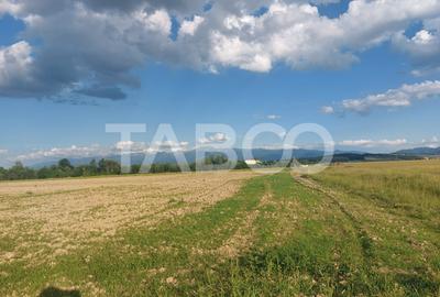 Teren agricol extravilan de 16500 mp, în Cisnădie - 4