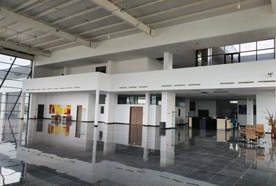 Proprietate specială, de 5,066 mp, în Dragalina - 3