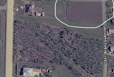 Teren de 1436 mp, în Florica