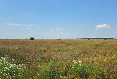 Teren agricol intravilan de 2600 mp, în Ștefăneștii de Jos - 3