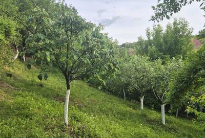 Casă cu 4 camere în Bucovăț - 2