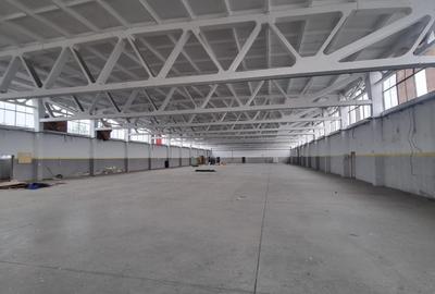 Spațiu industrial, de 3,035 mp, în Est - 6