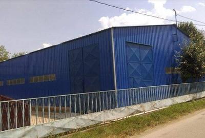 Spațiu industrial, de 1,000 mp, în Exterior Sud - 5