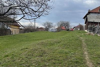 Teren de 2500 mp, în Vaideeni - 4