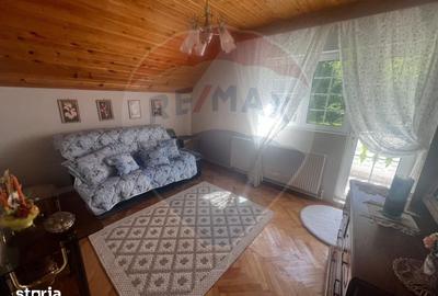 Casă cu Teren 2362 Mp în Tulnici - 6