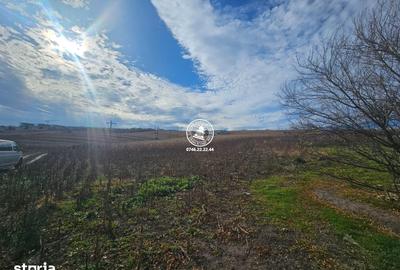 Teren de 11000 mp, în Miroslava