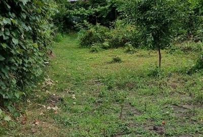 Casă cu 3 camere în Copăceni