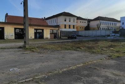 Teren de 3929 mp, în Cetate - 8