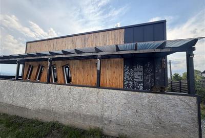 Casă cu 4 camere cu Teren 2800 Mp în Burdujeni - 2