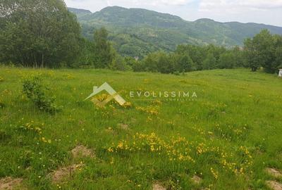 Teren Construcții intravilan de 11396 mp, în Moieciu de Jos - 7