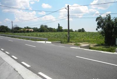 Teren de 14200 mp, în Dioști - 1