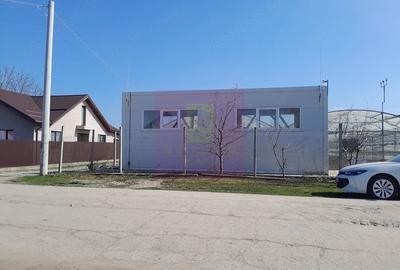 Teren de 3144 mp, în Roșiori