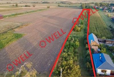 Teren agricol intravilan de 4590 mp, în Lunga - 3