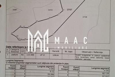 Spațiu comercial, în Blănoiu